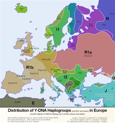 Read Y Dna Haplogroup R U152 In Britain Proposed 