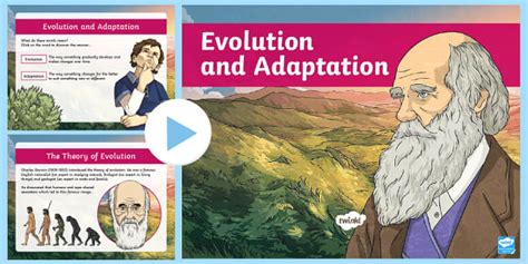 Y6 Evolution And Adaptation Powerpoint Teacher Made Twinkl Evolution Worksheet 6th Grade - Evolution Worksheet 6th Grade