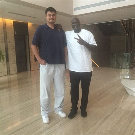 Yao Ming Height
