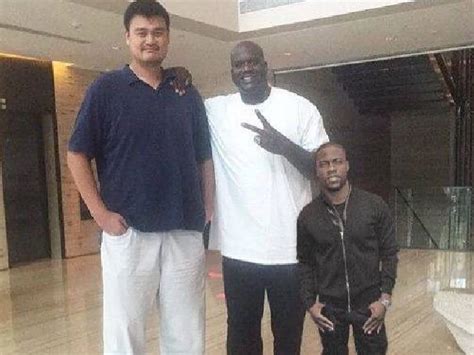 yao ming next to normal person