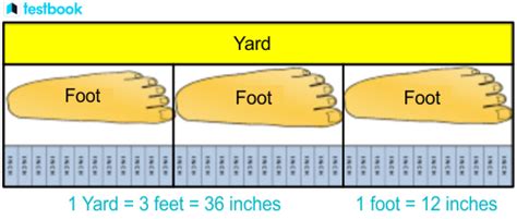 Yard To Feet Conversion