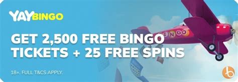 yay bingo casino stur france