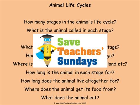 Year 2 Explanation Texts Planning And Resources Life Explanation Text Year 2 - Explanation Text Year 2