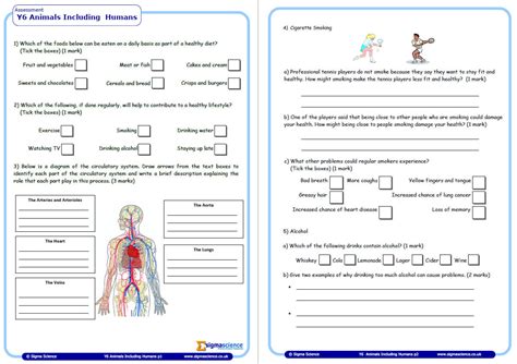 Year 6 Science Worksheets Science Topics Questions For Grade 6 Science Worksheets - Grade 6 Science Worksheets