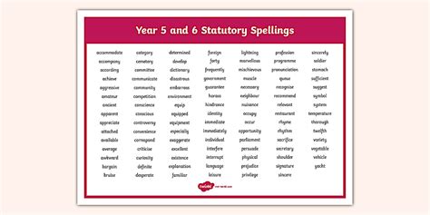 Year 6 Spelling Words