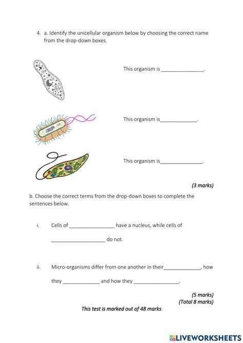 Year 7 Cells Test Unit 1b Worksheet Live Science Cells Worksheets - Science Cells Worksheets
