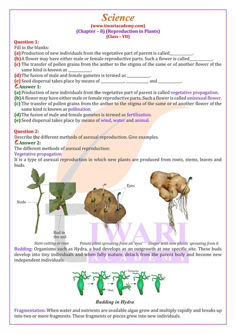 Year 7 Science Chapter 8 Forces