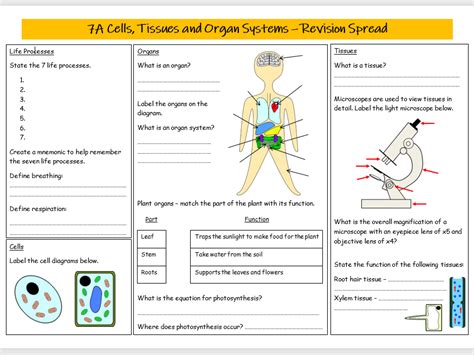 year 7 science revision notes