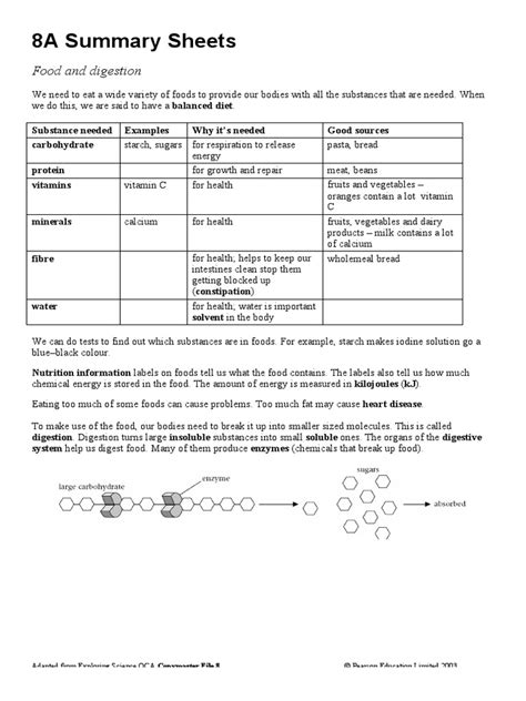 year 8 summary sheets