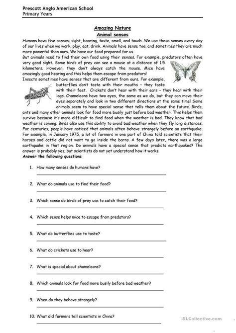 Year 9 Comprehensions Free Download On Line Document Reading Comprehension Year 7 - Reading Comprehension Year 7