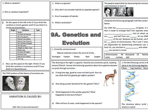 Year 9a Inheritance Test
