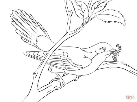 Yellow Billed Cuckoo Coloring Page Free Printable Coloring Color Yellow Coloring Pages - Color Yellow Coloring Pages