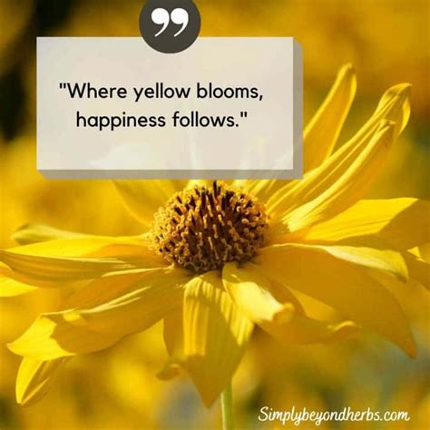 Yellow Flower Quotes