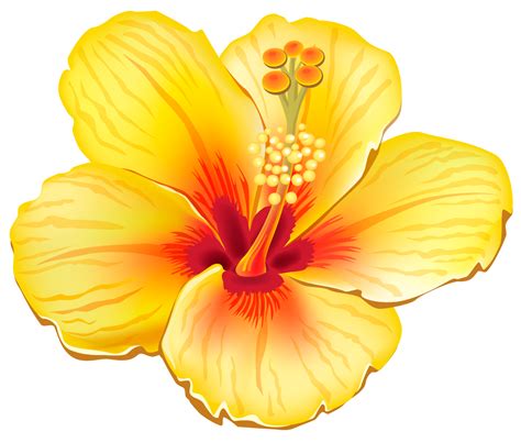 Yellow Hawaiian Flowers Clip Art