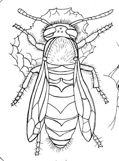 Yellow Jacket Coloring Page Creativetherapytools Color Yellow Coloring Pages - Color Yellow Coloring Pages