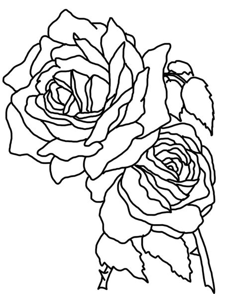 Yellow Rose Coloring Pages Coloring4free Coloring4free Com Color Yellow Coloring Pages - Color Yellow Coloring Pages