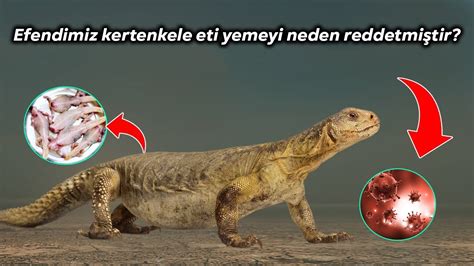 yilan yemek haram mıdırs