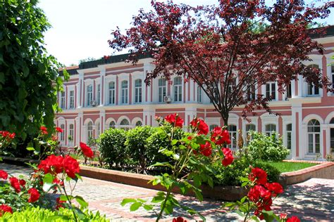 Yildiz Technical University
