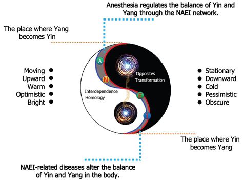 Yin And Yang A Study Of Universal Energy When Applied To The Law Of Gender