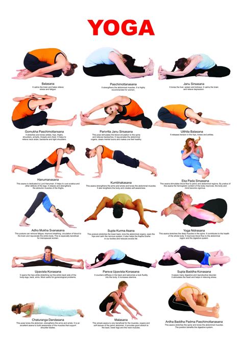 Yoga Postures Step By Step