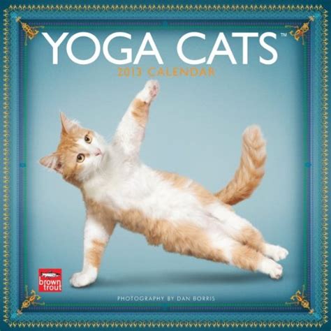 Read Online Yoga Cats 2017 Square Multilingual Edition 