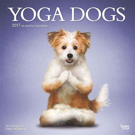 Full Download Yoga Dogs 2017 Square 