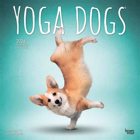 Read Online Yoga Dogs 2018 12 X 12 Inch Monthly Square Wall Calendar Animals Humor Dog Multilingual Edition 