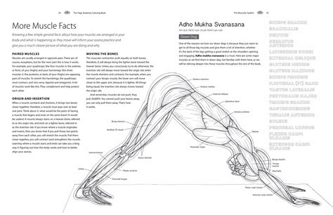 Read Yogabody Anatomy Kinesiology And Asana 