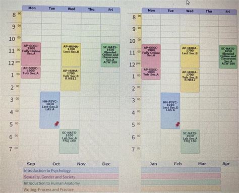 York Visual Schedule Builder