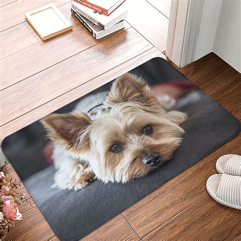 Yorkie mat removal