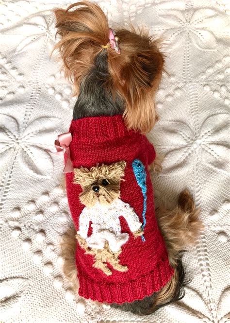 Yorkie wearing a winter sweater