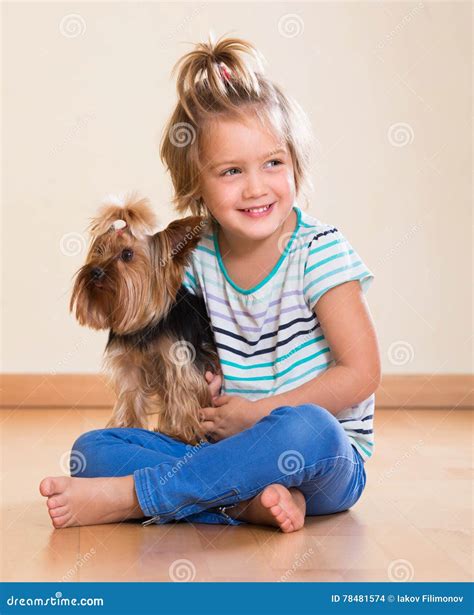 Yorkshire Terrier playing indoor