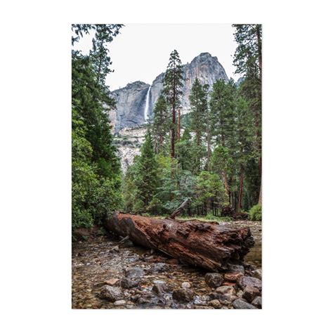 Yosemite 2018 12 X 12 Inch Monthly Square Wall Calendar, U S A United States Of America National Park West Scenic Nature ( Multilingual Edition)