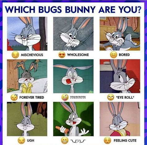 You Are Bugs