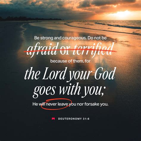 you are never alone