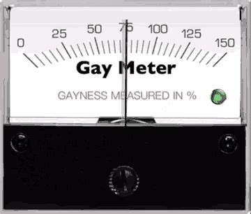 you gay meter