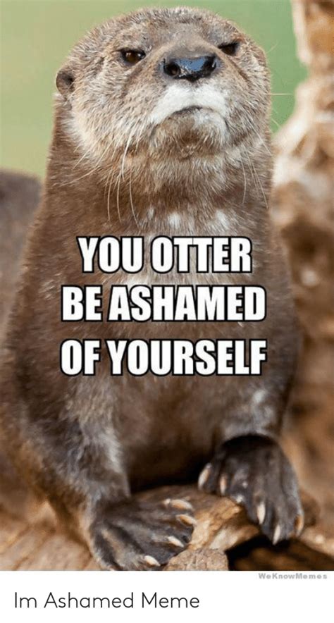 You Otter Be Ashamed Of Yourself