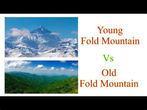 Young Fold Mountains