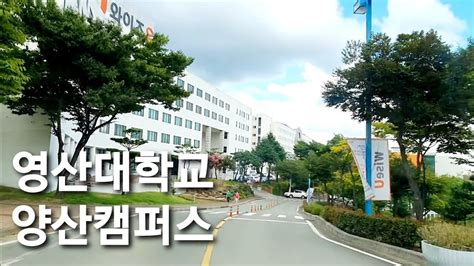 youngsan university - >영산선학대학교