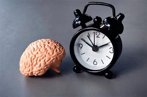 Your Brain Is A Time Machine The Neuroscience And