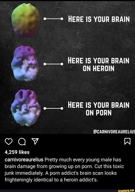 Your brain on porn reddit