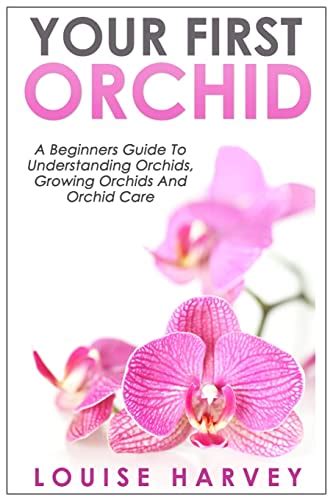 Your First Orchid A Guide For Beginners Birdz