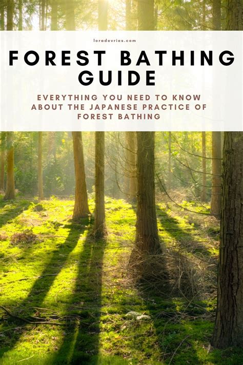 Your Guide To Forest Bathing Experience The Heali
