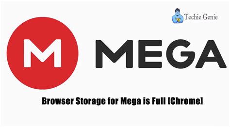 your in browser storage for mega is full