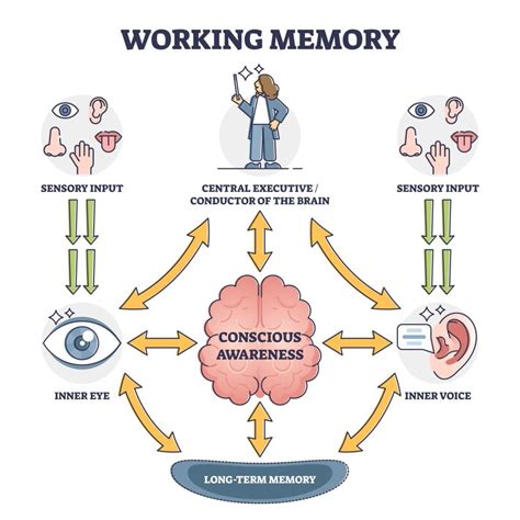 Your Memory How It Works And How To Improve It