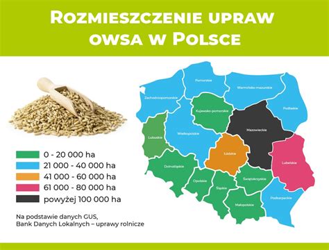 th?q=zakup+Revia+w+Polsce
