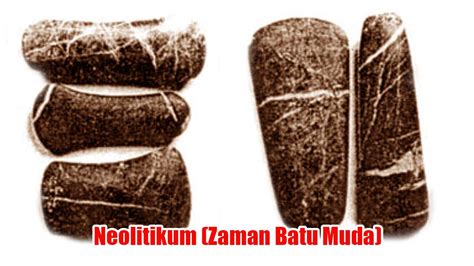 Zaman Batu Muda