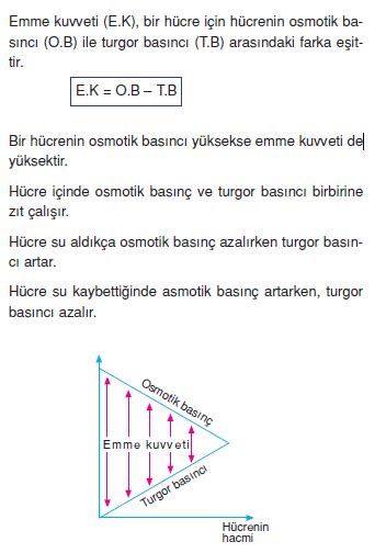 zaman su içeriye girecektir bu duruma da Emme kuvveti denir.