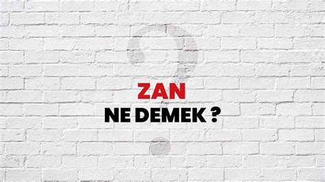 Zan Ne Demek
