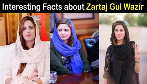 zartaj gul biography sample
